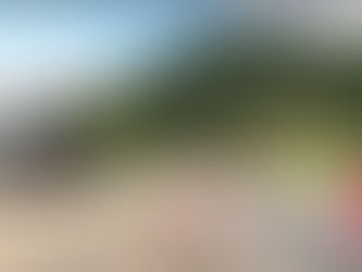 넬슨 인근에 모인 갱단원들… 3명 체포 70여건의 범칙금 발부