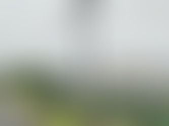 훔친 오토바이 타고 경찰 피해 달아나던 남성 ‘사망’