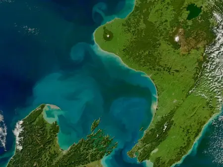 쿡 해협 전력 케이블 근처서 ‘낚시하다 수천 달러 벌금’