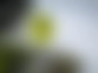 정부, 특수 학생 통학 지원 변경
