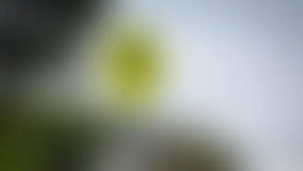 정부, 특수 학생 통학 지원 변경