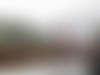 18개월 넘게 방치된 새 타운하우스 35채… 정부, 매각 난항