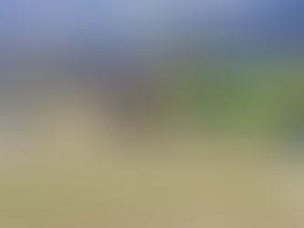 Mount Maunganui, 사망한 스카이다이버 '신원공개'