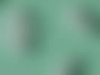 OCR 인하 후 시장 급반응…“추가 하락 가능성”