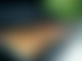 “고기 안 먹으면 오래 못 산다?”