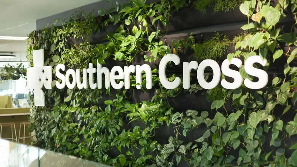 서던크로스 보험 10년 가입자, 수술 거절에 좌절