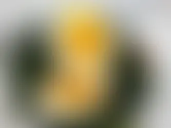 과학자들, ‘완벽한 삶은 달걀 만들었다’ 말하지만… 정말 그럴까?