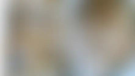 CHCH 커뮤니티 “곰팡이 급식 책임 공방”