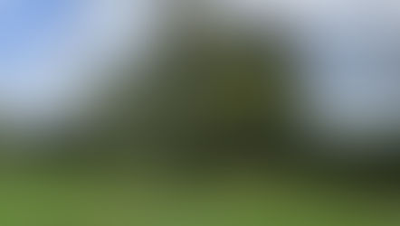 11개월, 3만8000달러 썼지만 여전히 불허