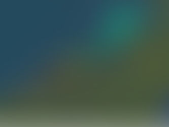 에어 뉴질랜드 항공 긴급 착륙, 승객 휴대 수하물이 원인