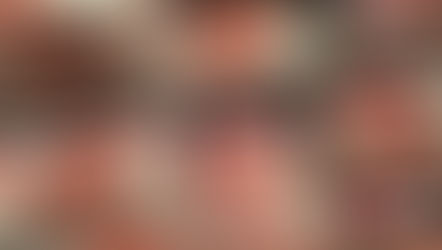 “서민 단골 단백질도 옛말”… 다진 소고기 kg당 24달러 돌파