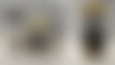 "천연 해독제라고?…" 호주서 6명 입원