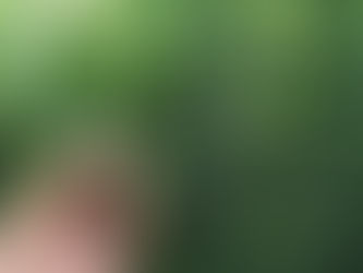 대마초 기증 혐의로 경찰에 입건된 '녹색요정'