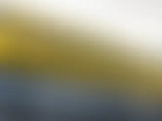 Pak'nSave, 고객 가방 무단 검사 논란