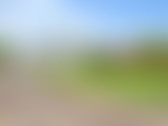 5일간 20건의 오퍼, 바이어들…사우스 오클랜드로