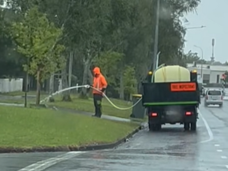 비 오는 날 가로수에 물을?…시 계약업체 ‘실수’