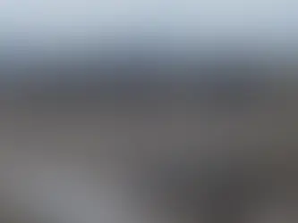 오클랜드 북부 ‘해산물 채취’ 전면 금지 검토