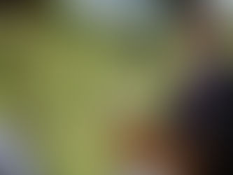 주뉴질랜드 대사관서 동성직원 성추행한 ‘김홍곤 전 외교관에 유죄선고’