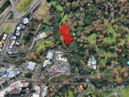 오클랜드 도메인, 한 '남자의 음란행위'…경찰 골머리