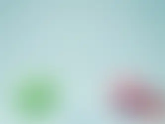 임대료 어디서 떨어지고 어디서 올랐나