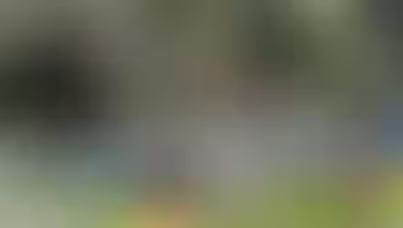 폭우가 남긴 비극 '산사태'... 2명 사망 실종자 수색 계속