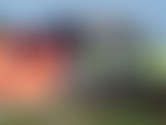 열차와 학교버스 충돌…운전자 사망, 40명 부상