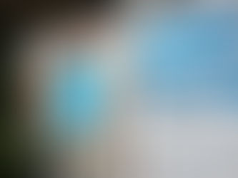 금리 인하로 ‘뉴질랜드 주택 가격 내년 6% 오를 것’