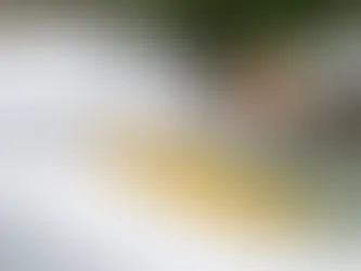 수건은 얼마나 자주 세탁해야 하나?