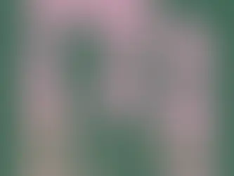 “이민관 심사 없이 비자 승인”… 이민성 시스템 오류 파문