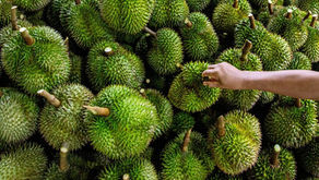 악명 높은 두리안, 뉴질랜드 대형마트에 상륙