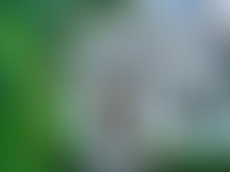 집값 급락하자 계약 파기… 결국 110만 달러 배상