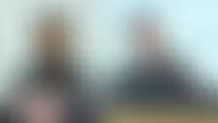 “17.9kg 포우나무 반출 시도”…판결 임박