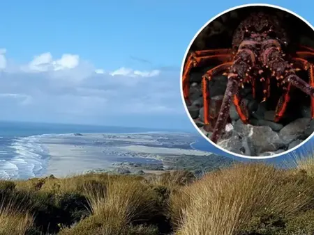 SNS에 올린 크레이피시 판매 글로 덜미