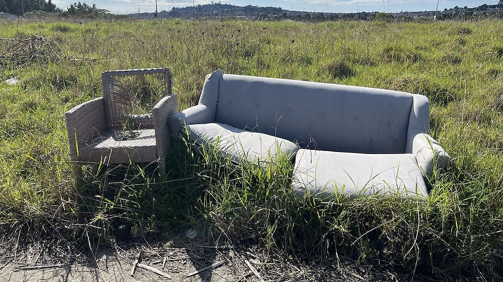 A couch and chair discarded in a field in the Auckland suburb of Flat Bush. (Source: 1News)