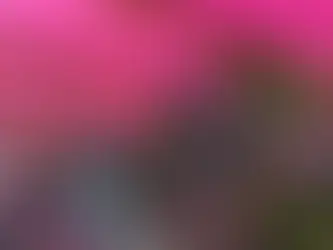 컬러 태양광 패널, 농업의 새 가능성