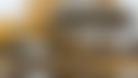 1년 새 보험료 두 배… ‘도난 1위 차량’의 현실