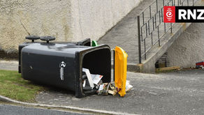 재활용 잘못하면 통째로 강제 회수