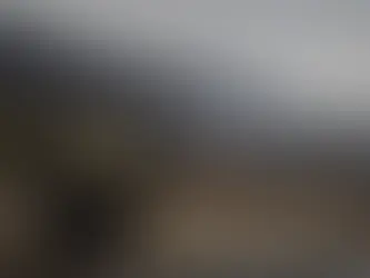 해밀턴 공항, 사상 최대 이용객 기록 전망