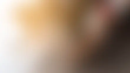 개인파산 10년 새 절반 감소… 키위세이버가 ‘안전판’ 역할?
