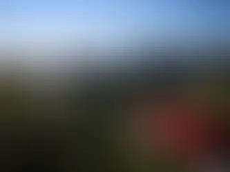 "웰링턴 재산세 체계 대수술 예고"