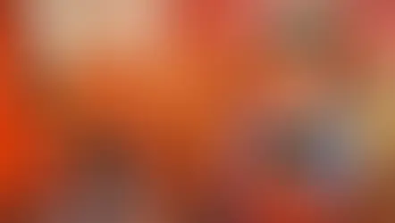 교육부 행정 실패로 수년간 놓친 아이들