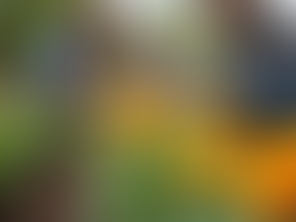 Building Stronger Connections Through Community Groups