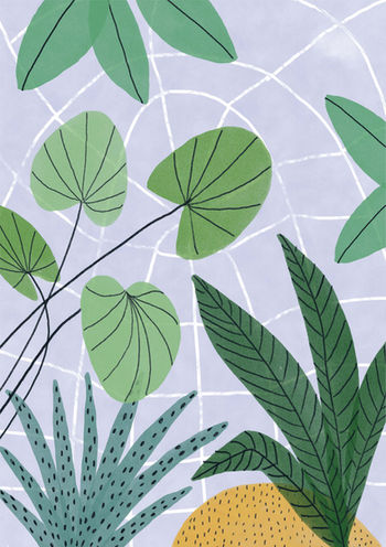 KB1103_website_Glasshouse Tropical-02.jpg