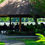 Miniatura: Selva Caribe! Canales del Tortuguero 3 días/2 noches