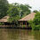 Miniatura: Tortuguero 3 días 2 noches
