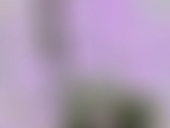 34歳女性会員さま♡すてき胡蝶蘭をいただきプロポーズをお受けしました!