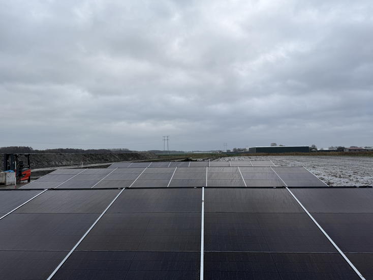 Zonneveld in het weiland voor eigen gebruik