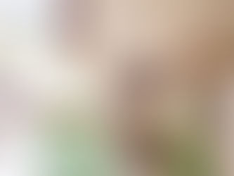 La sicurezza in casa