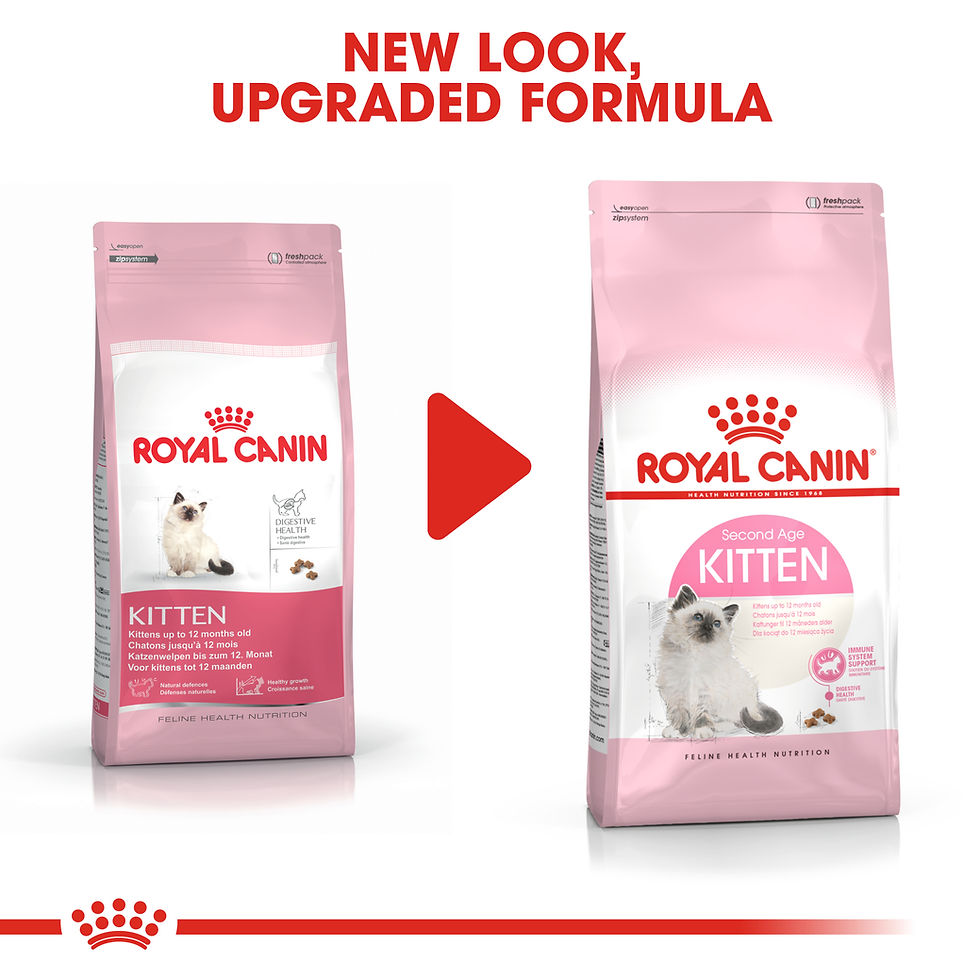 Miniature : Royal Canin Kitten 2 kg