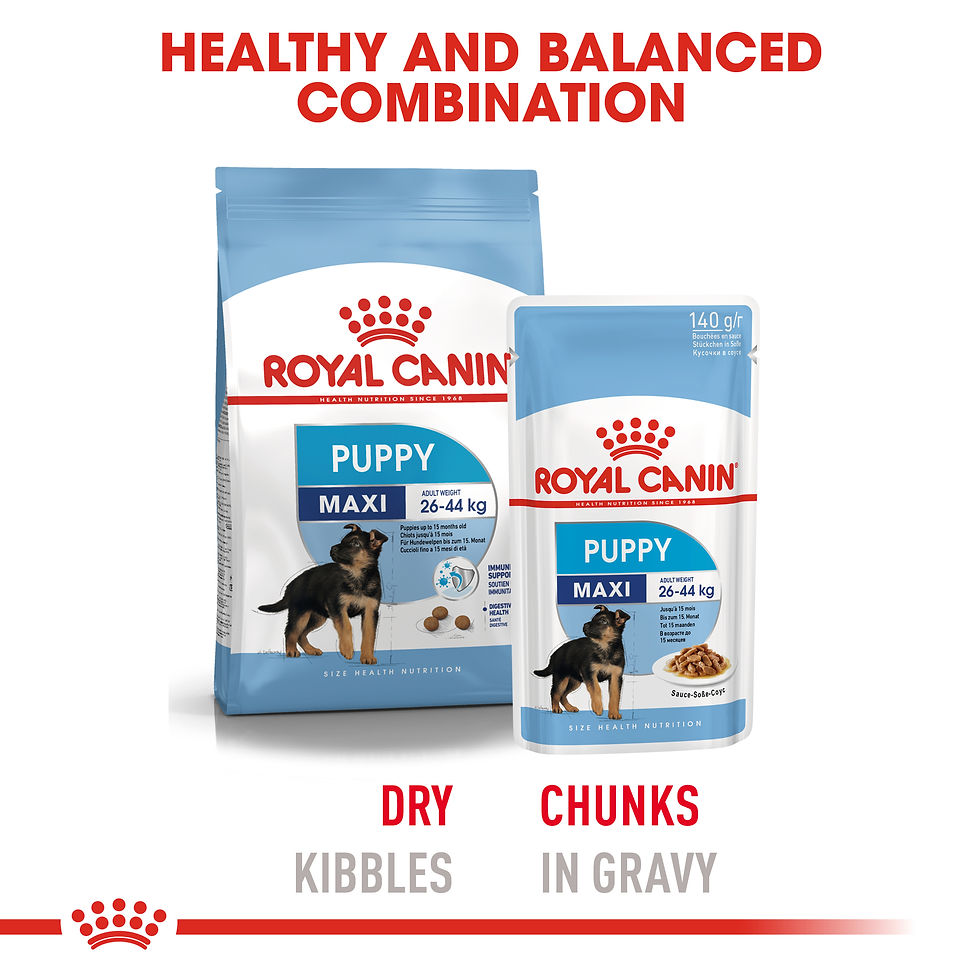 Miniature : Royal Canin Maxi Puppy 140 g